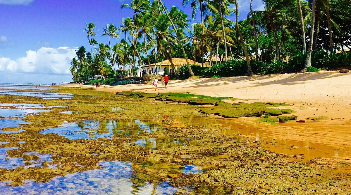 Visita a Praia do Forte